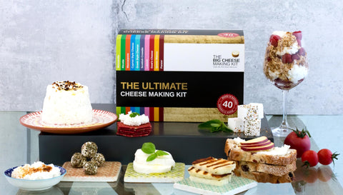 The Big Cheese Making Kit halloumi slices illustrate easy frying and grilling.
