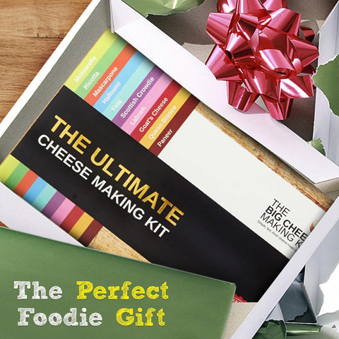 The Big Cheese Making Kit paneer cubes reveal firm, versatile cooking use.