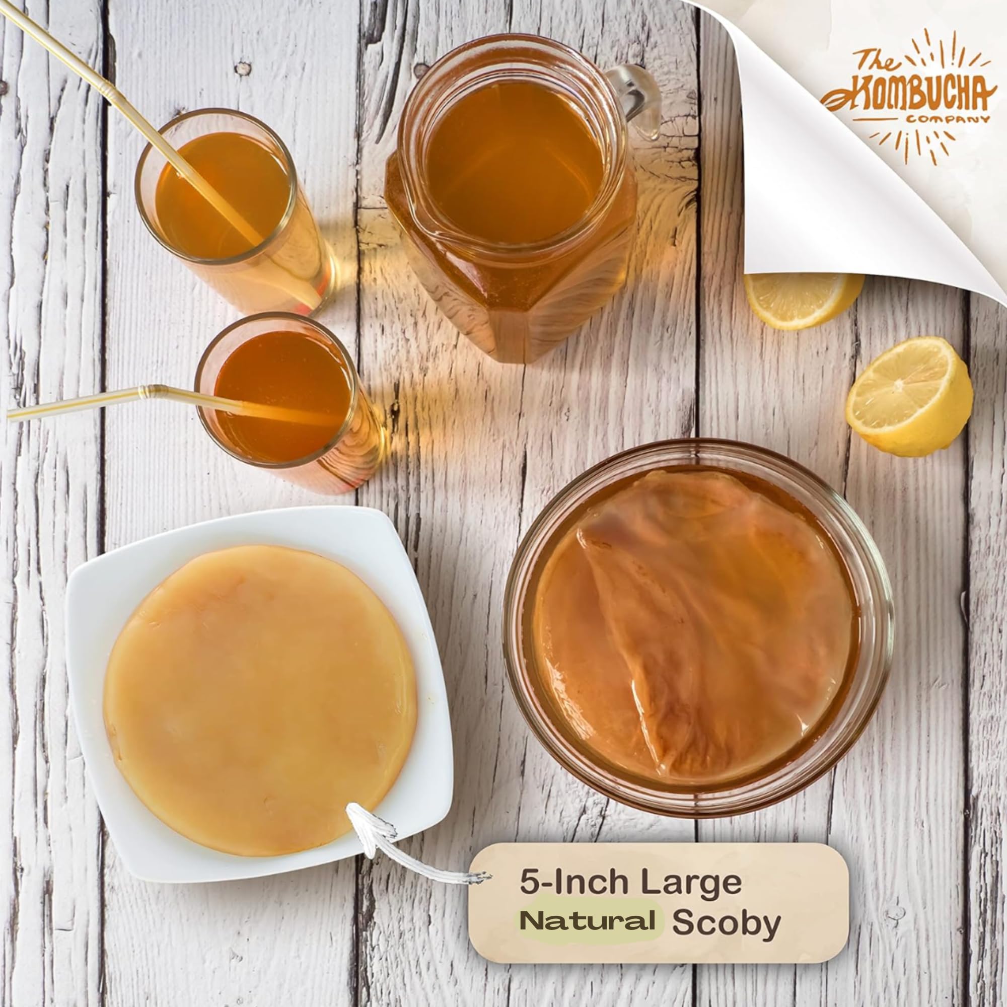 The Kombucha Company starter tea 4oz shows ready-to-use liquid for quick setup