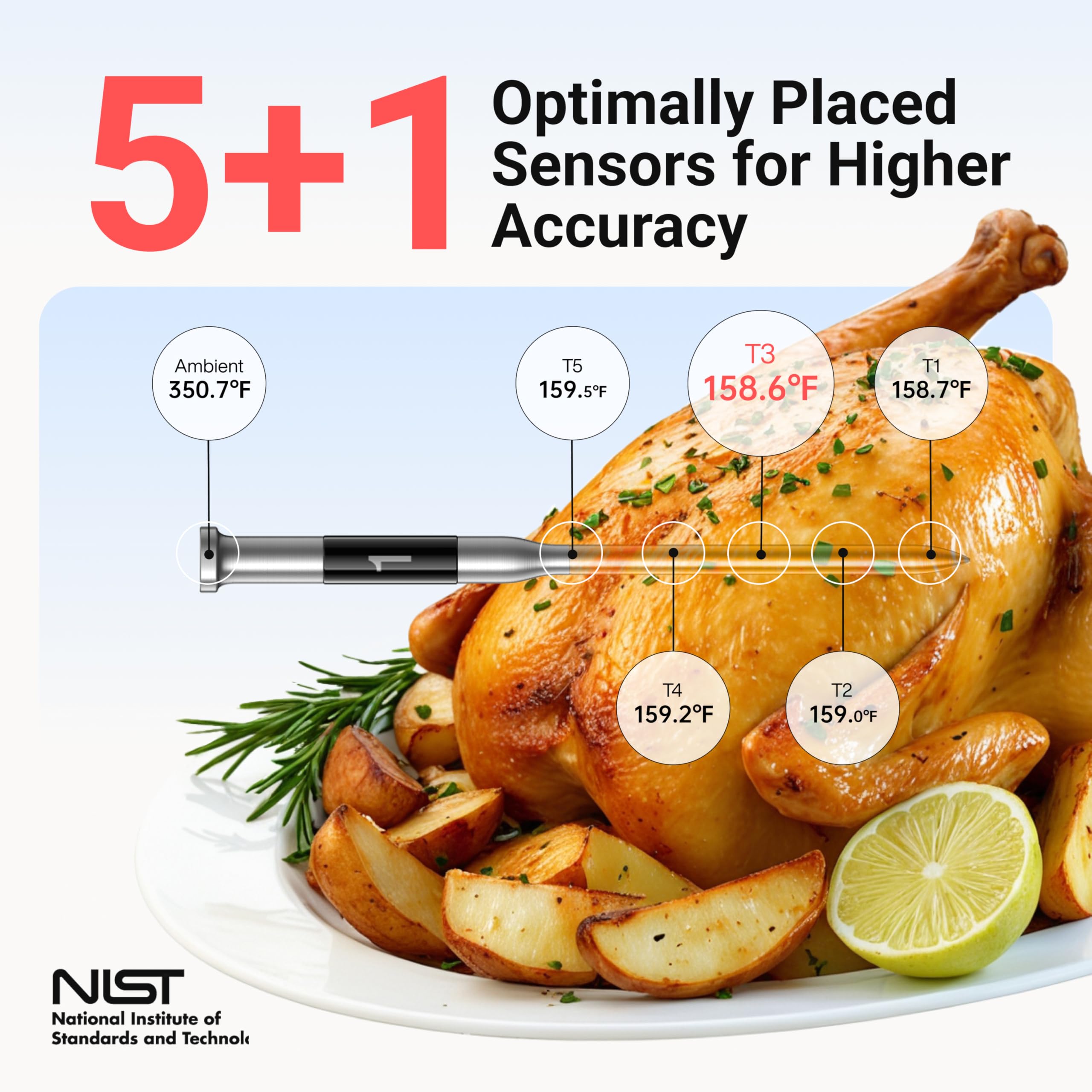 ThermoMaven NIST-certified precision probe for accurate temperature tracking.