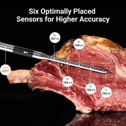 Wireless freedom from base to probes enables flexible cooking setups.