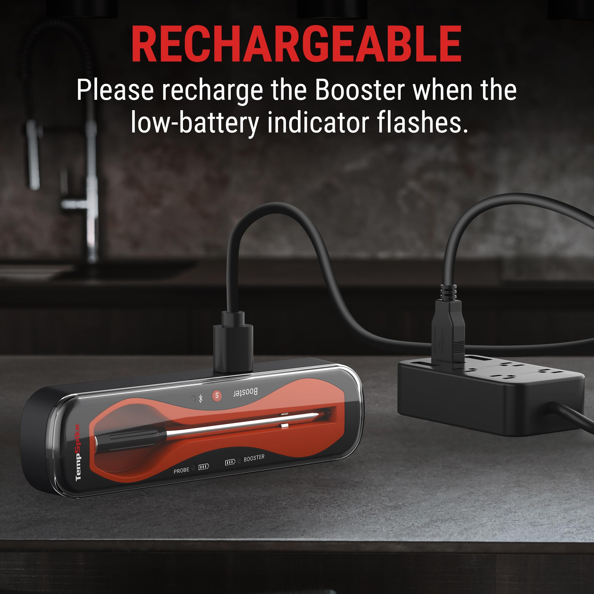 ThermoPro TempSpike elegant gift packaging for grill enthusiasts