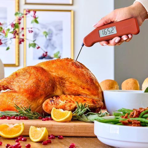 ThermoWorks Classic Thermapen packaging highlighting professional-grade reliability