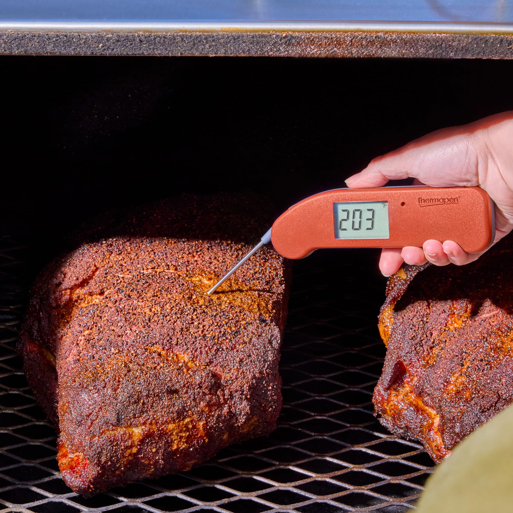 ThermoWorks Thermapen ONE used by professionals for restaurant-quality results at home.