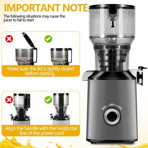 ThreeAll self-feeding design makes knife-free juicing simple for busy mornings.