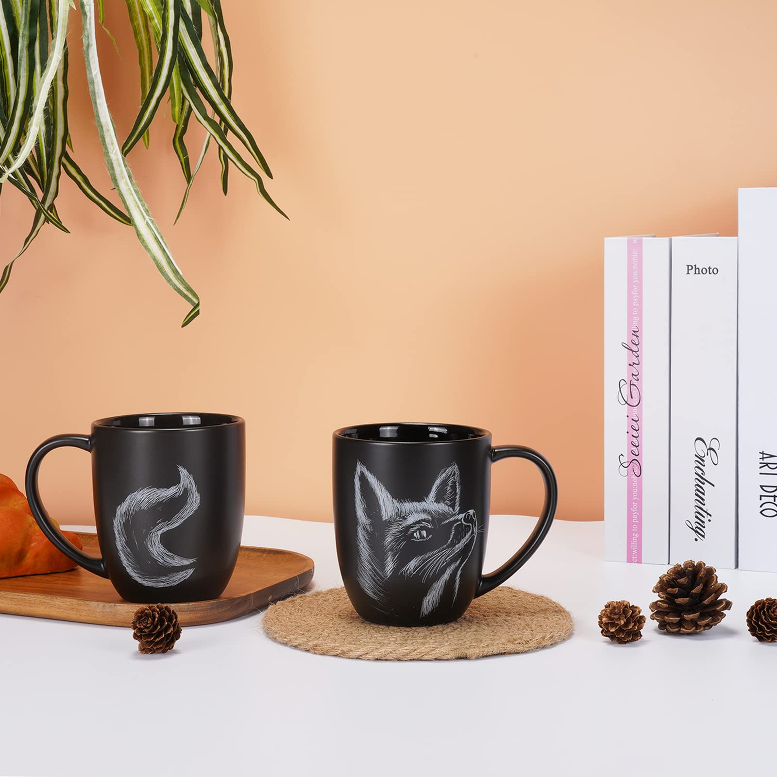 ToCooTo fox mug packaging and gift box presentation.