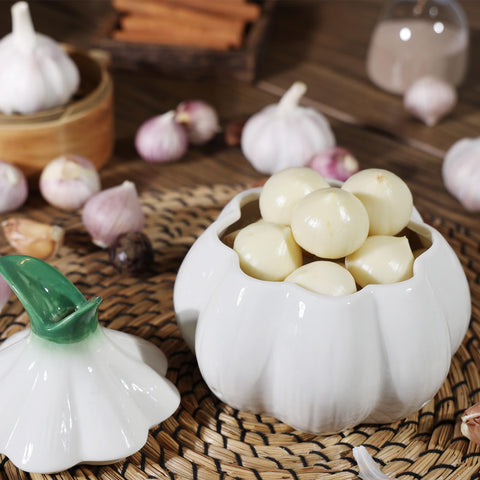 TOIVO ceramic garlic saver in white enhances counter decor while reducing odors.