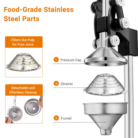 TONGCHANT stainless steel cup catches fresh juice with clean pouring.