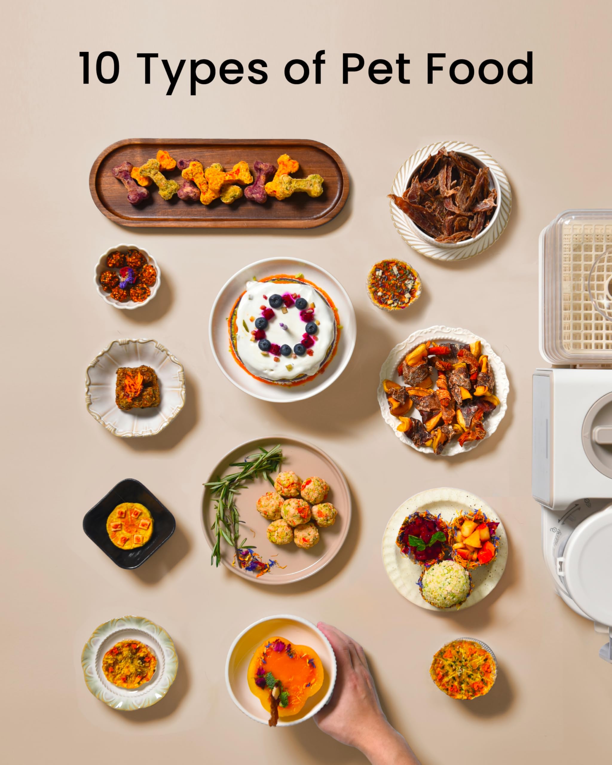 TOPTREES recipe book with 100+ pet treat ideas.