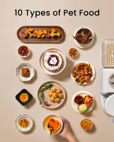 TOPTREES recipe book with 100+ pet treat ideas.
