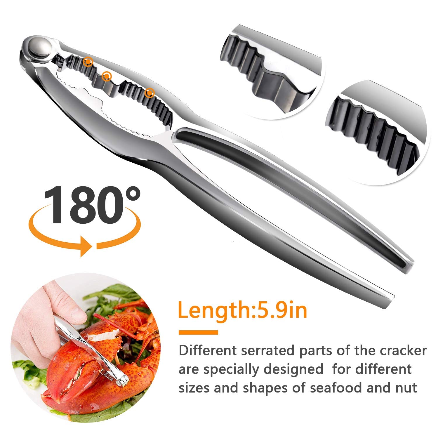TORINALITAL stainless steel seafood forks offer secure grip for picking meat.