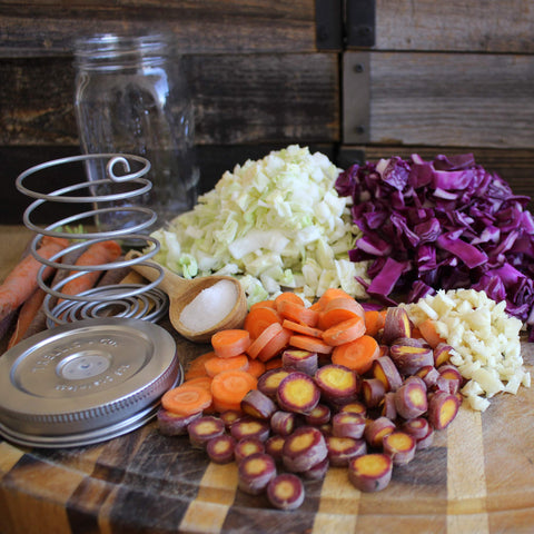 Trellis + Co fermentation kit storage highlights compact, space-saving kitchen tool.