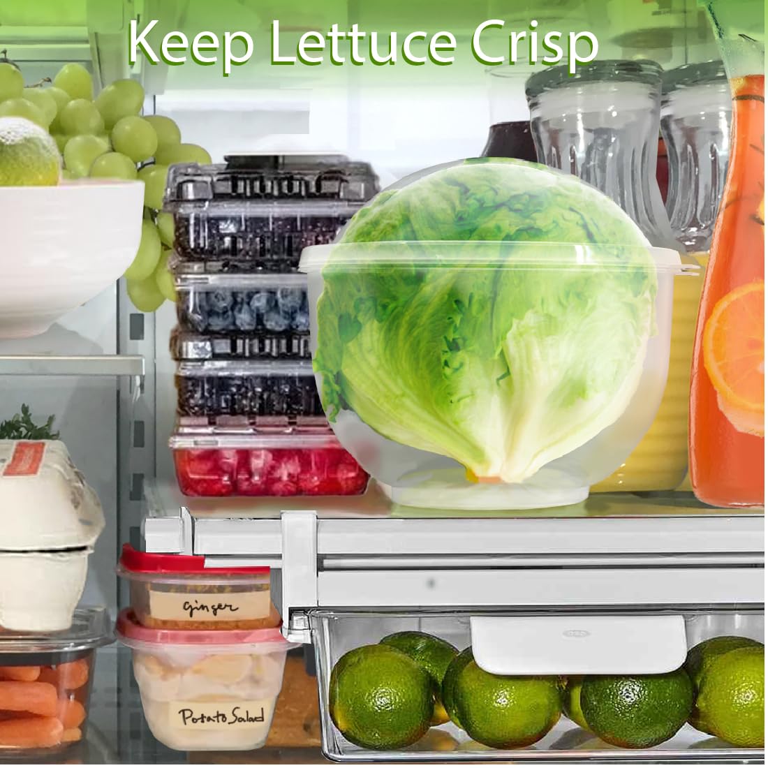 Trenton Gifts lettuce storage keeper compact design fits neatly on fridge shelves.