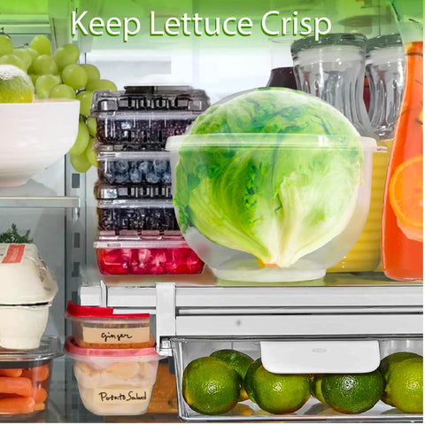 Trenton Gifts lettuce storage keeper compact design fits neatly on fridge shelves.