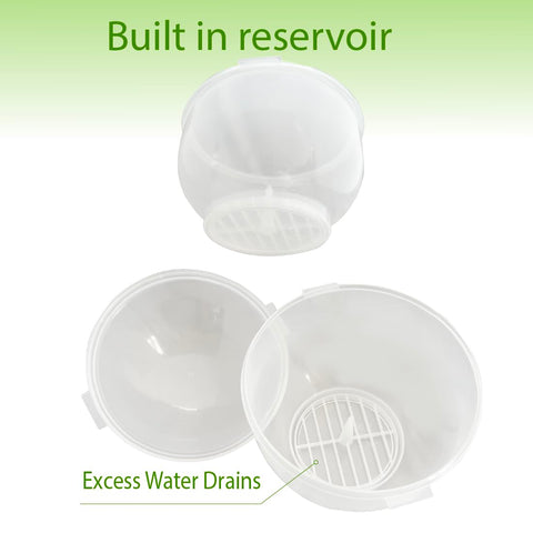 Trenton Gifts lettuce storage keeper easy-clean surface ready for quick wipe-down.