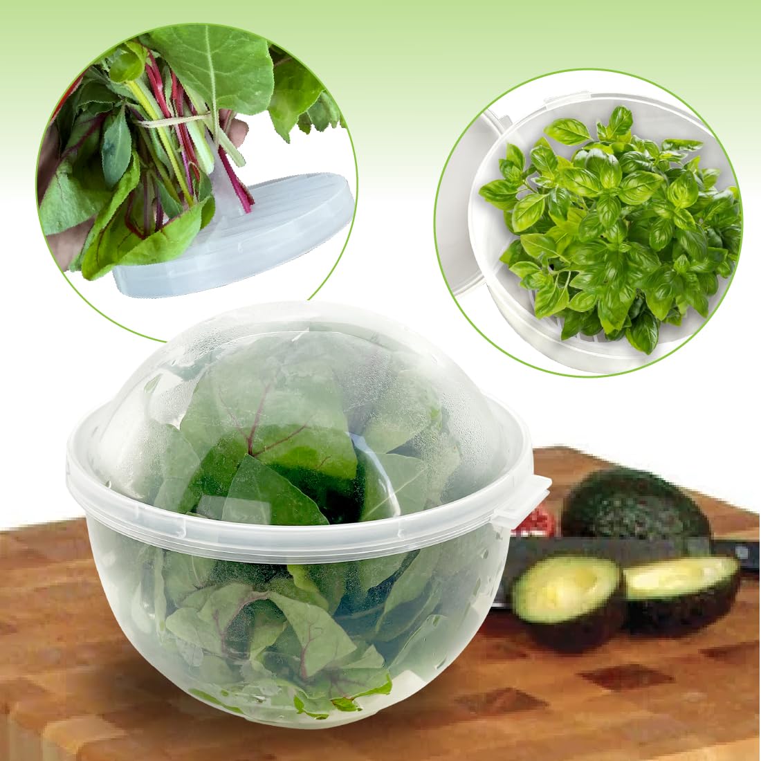 Trenton Gifts lettuce storage keeper stays crisp for leafy greens over time.