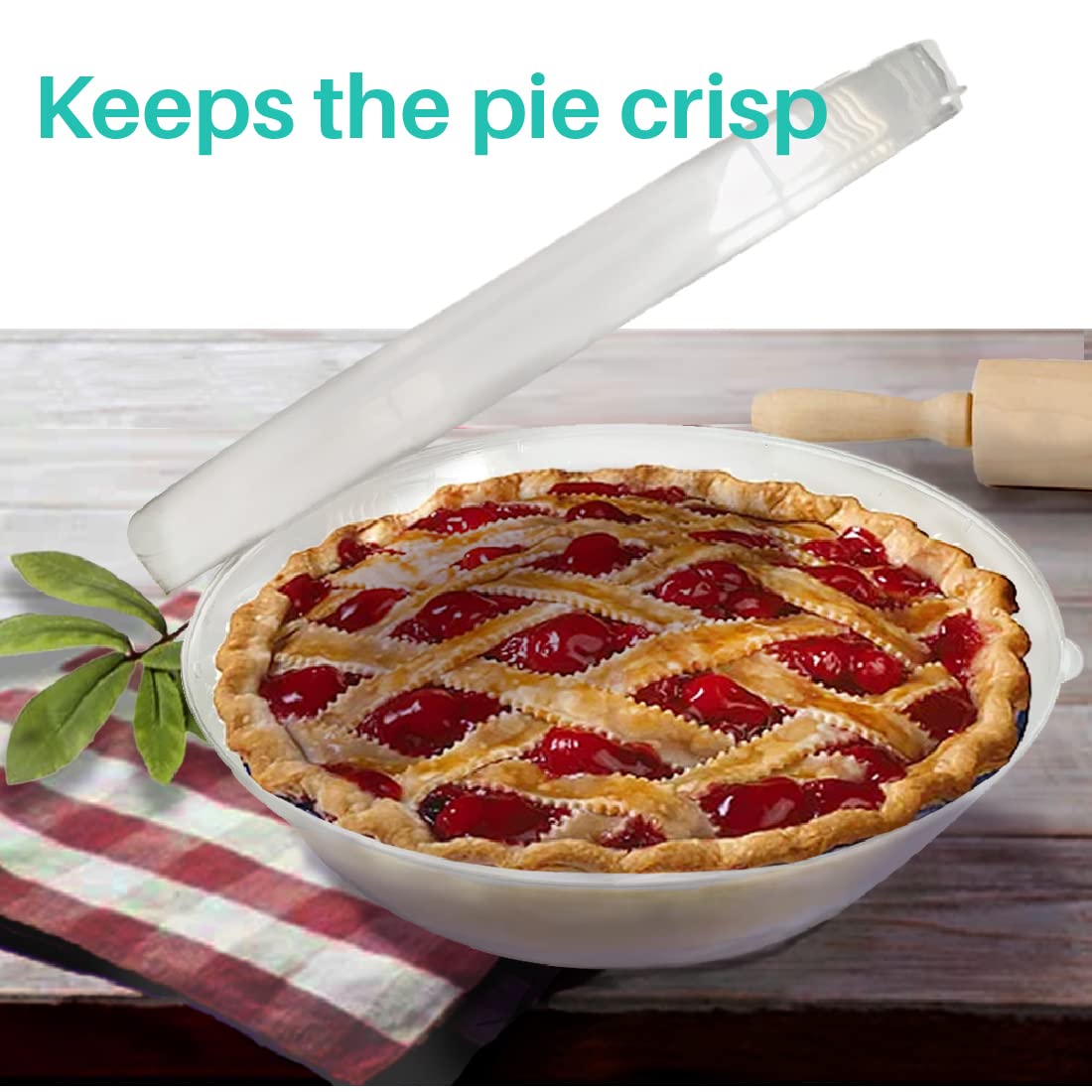 Durable polypropylene construction of the Trenton Gifts pie container for fridge use