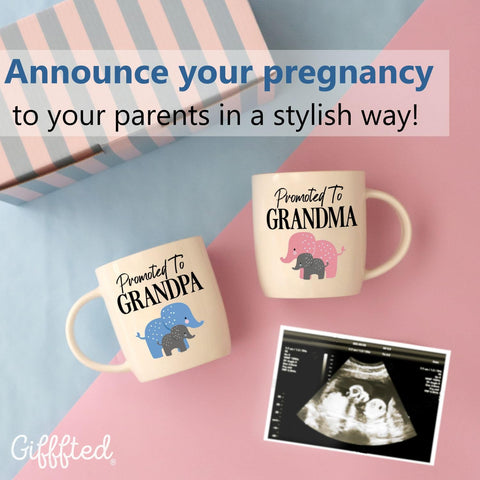 Triple Gifffted Promoted To Grandpa mug with elephant motif for daily rituals