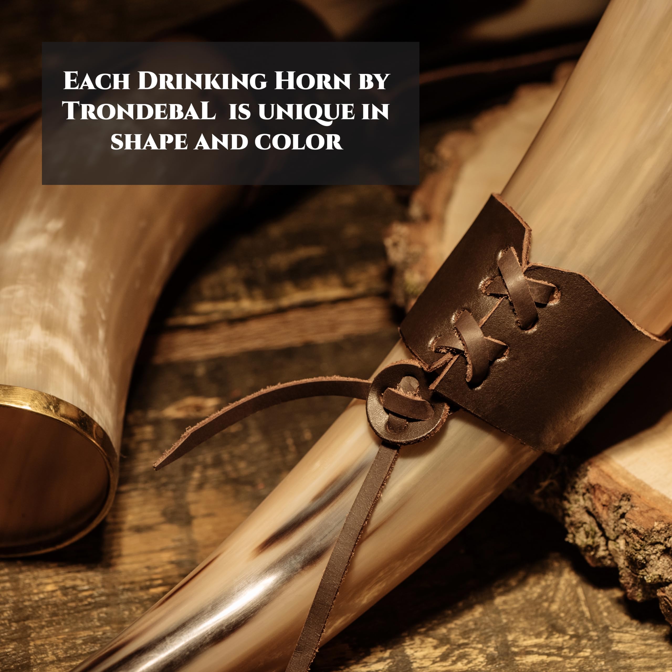 Trondebal buffalo horn stand detail for a refined home bar display