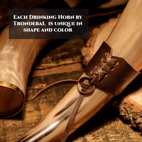 Trondebal buffalo horn stand detail for a refined home bar display