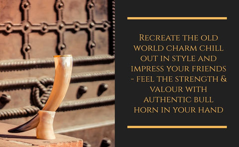 Trondebal Viking horn display on bar with rugged elegance