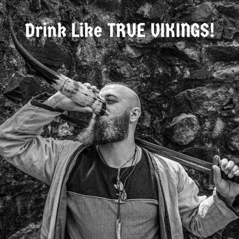 TRUE VIKING gift bag protecting the horn set during travel