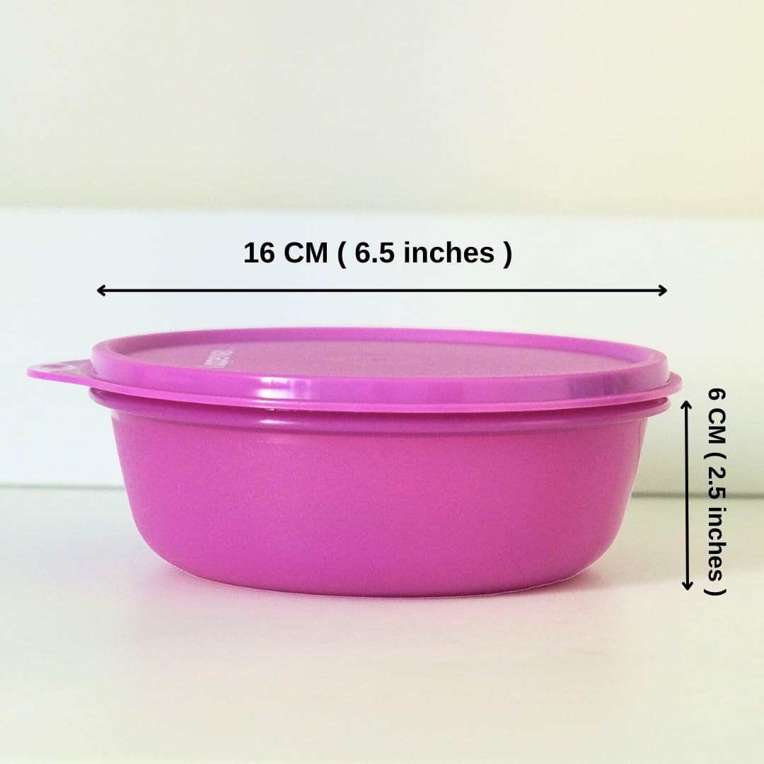 Tupperware spill-proof seal keeping liquids secure during travel