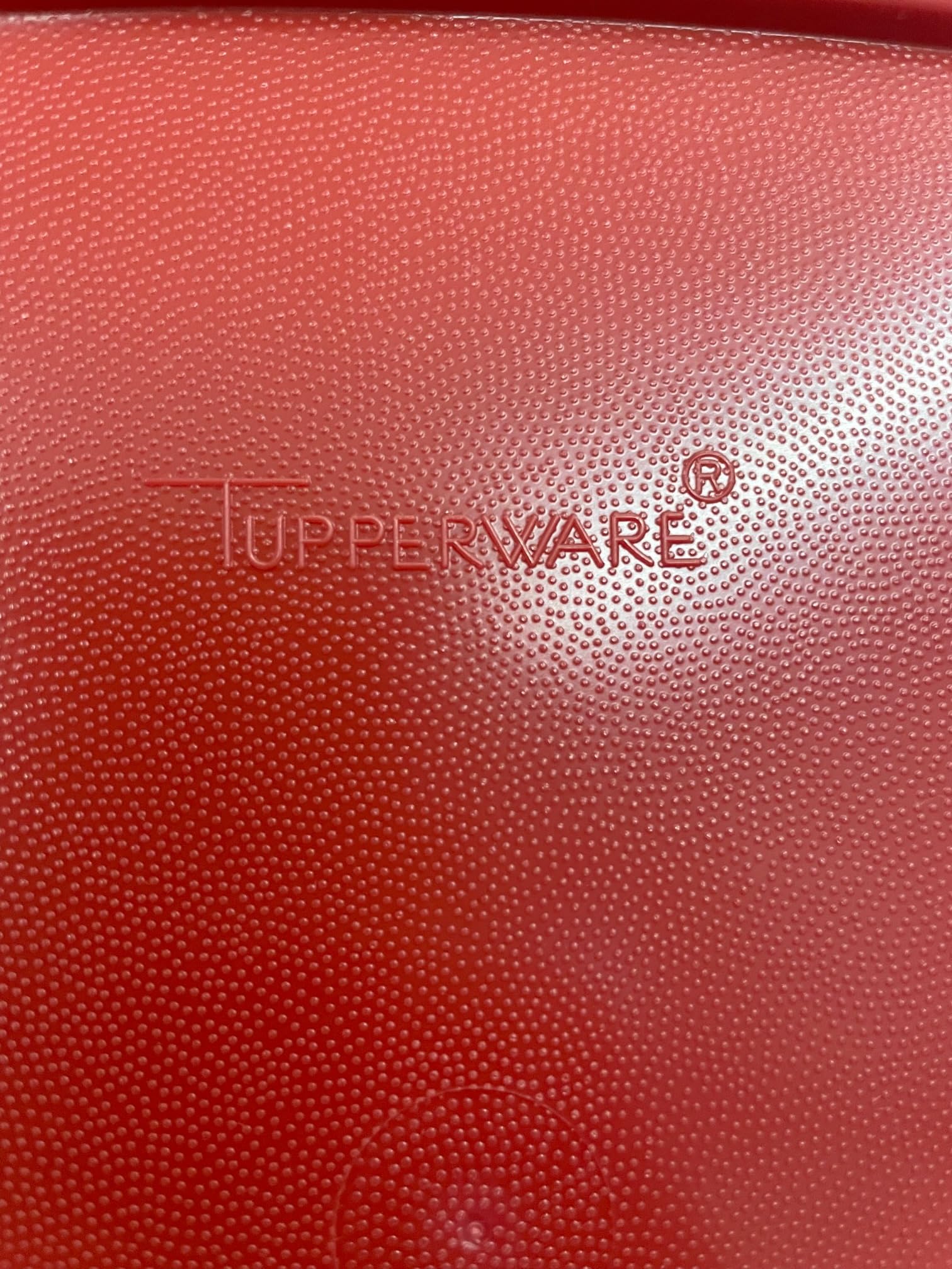 Square container lid from Tupperware Modular Mates keeps contents organized.