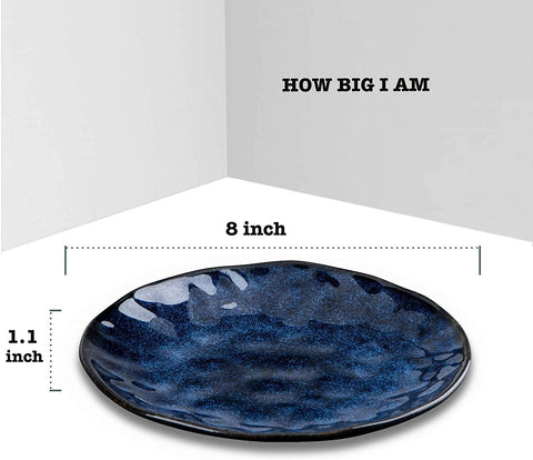 VICRAYS blue 8-inch ceramic plates stacked, space-saving kitchen storage.