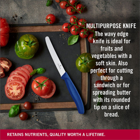 Victorinox Swiss Classic knife ideal for cutting soft-skinned fruits.