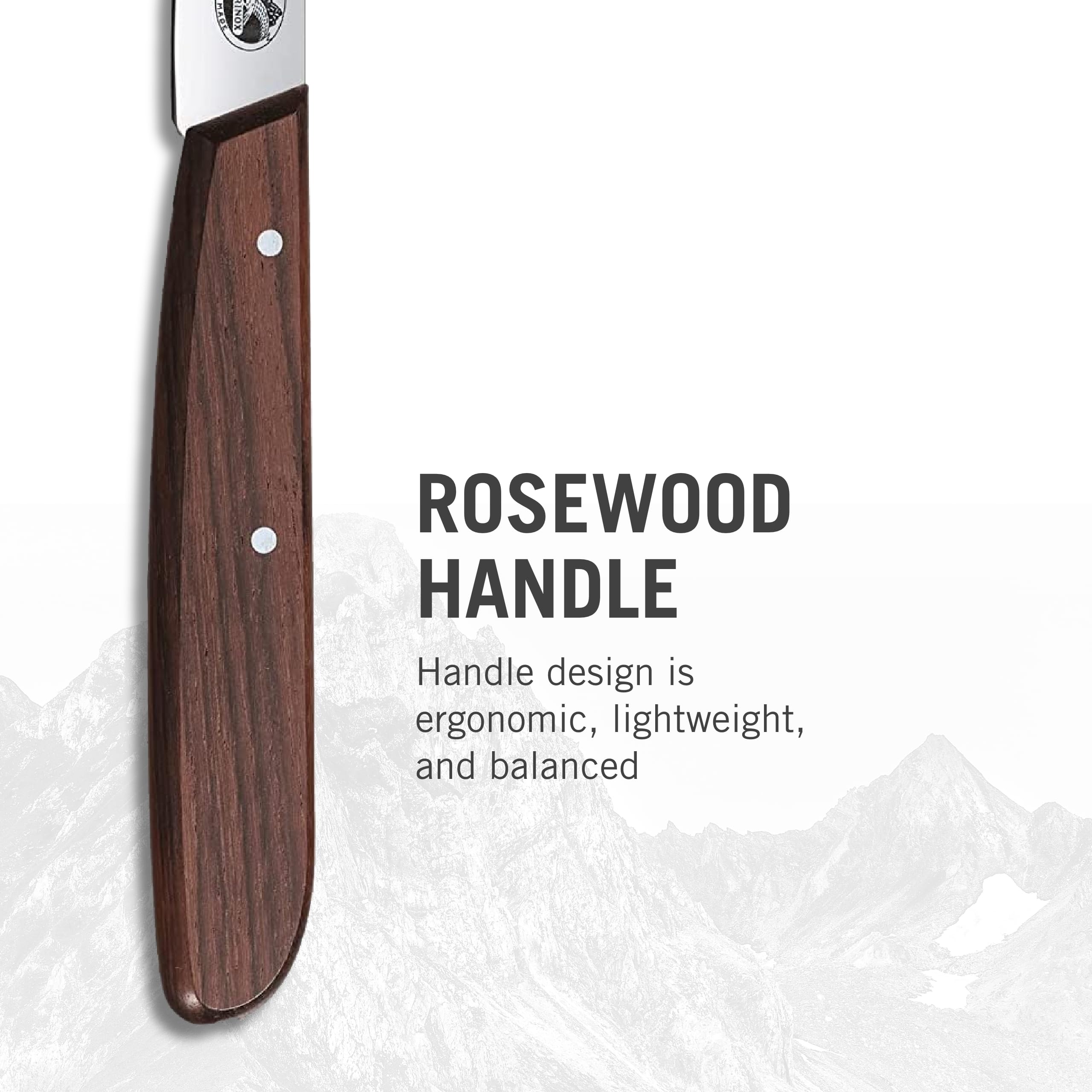 Blade close-up of Victorinox paring knife highlighting sharp edge