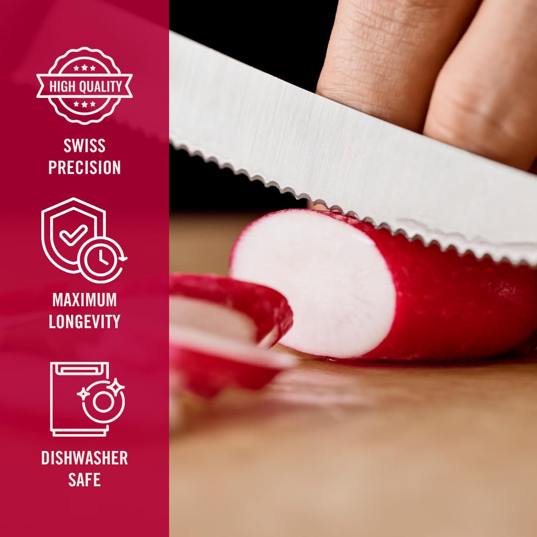 Victorinox Swiss Classic dishwasher-safe blades designed for easy cleaning.