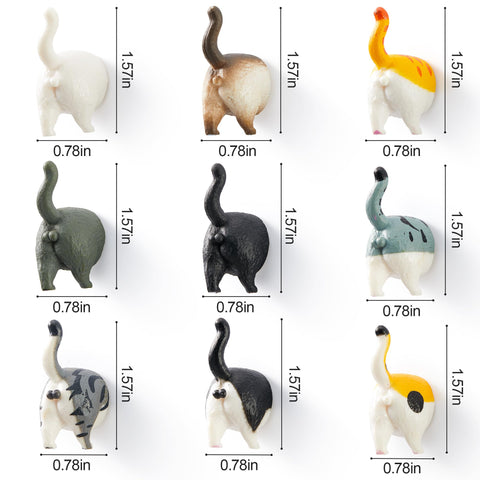 Vinsiora colorful cat-tail designs brighten the kitchen while displaying photos.