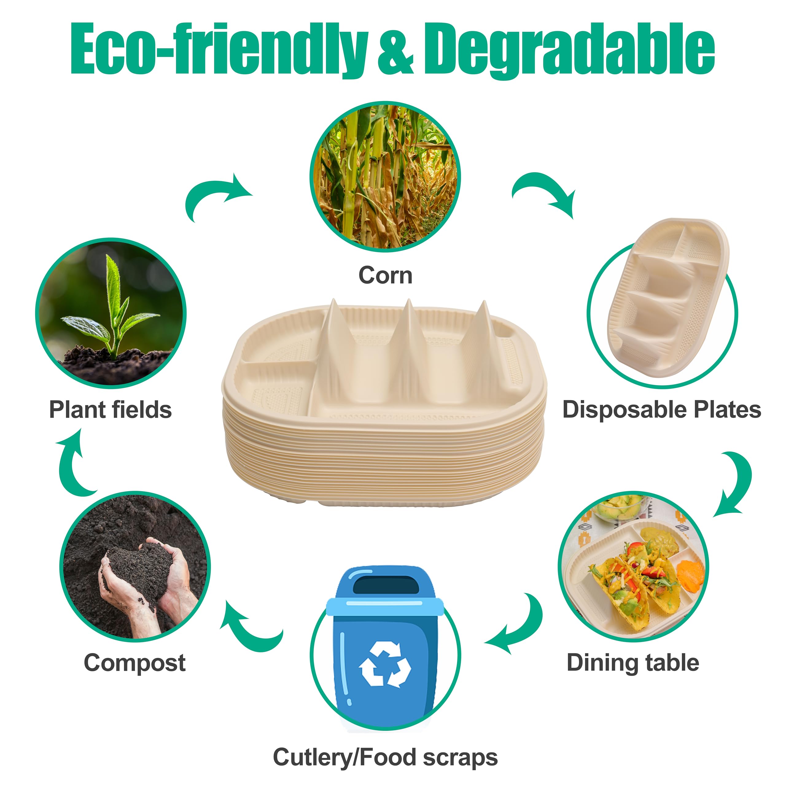 Viotiin biodegradable cornstarch plates highlighting eco-friendly, waste-conscious dining options.