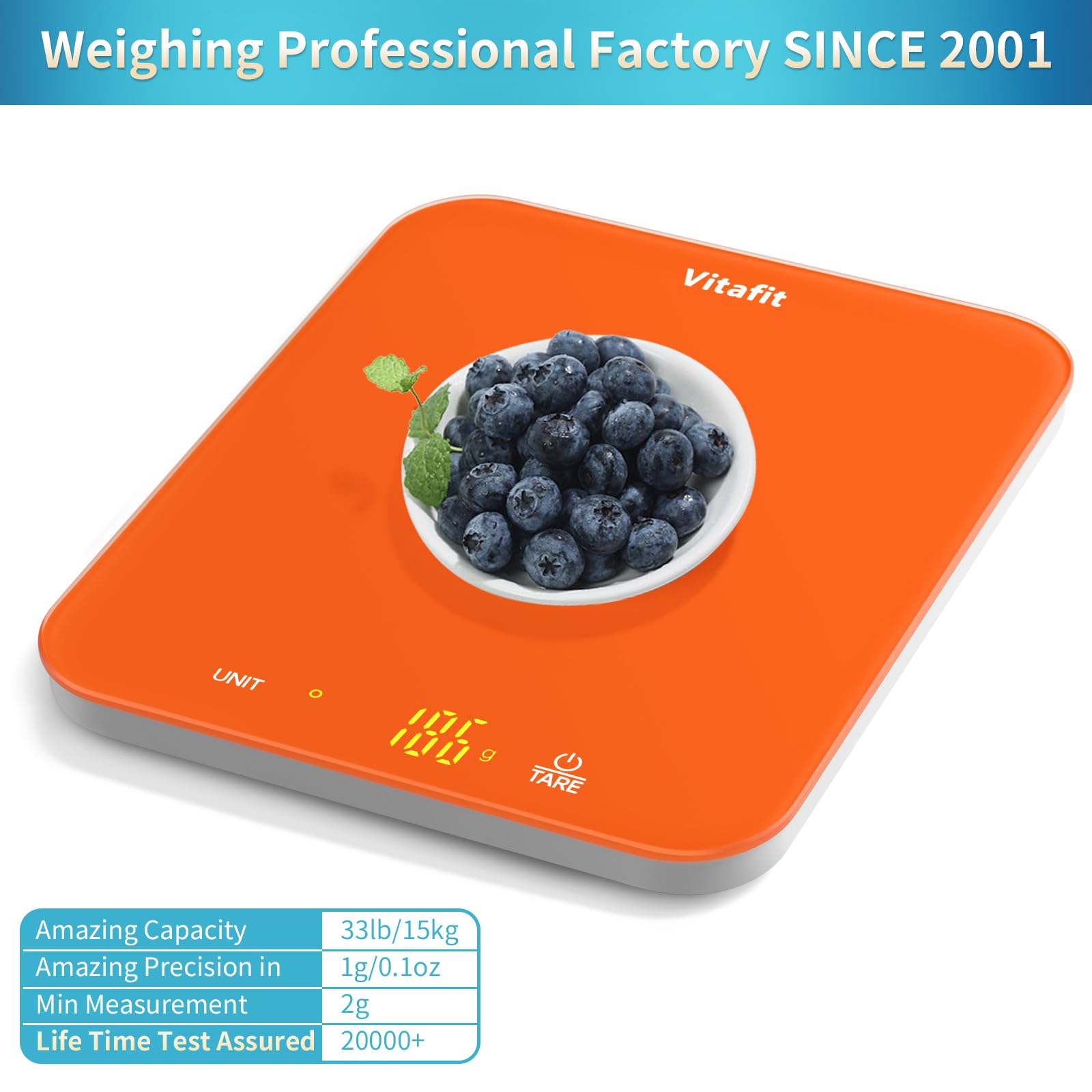 Vitafit scale LED display for quick clear readings