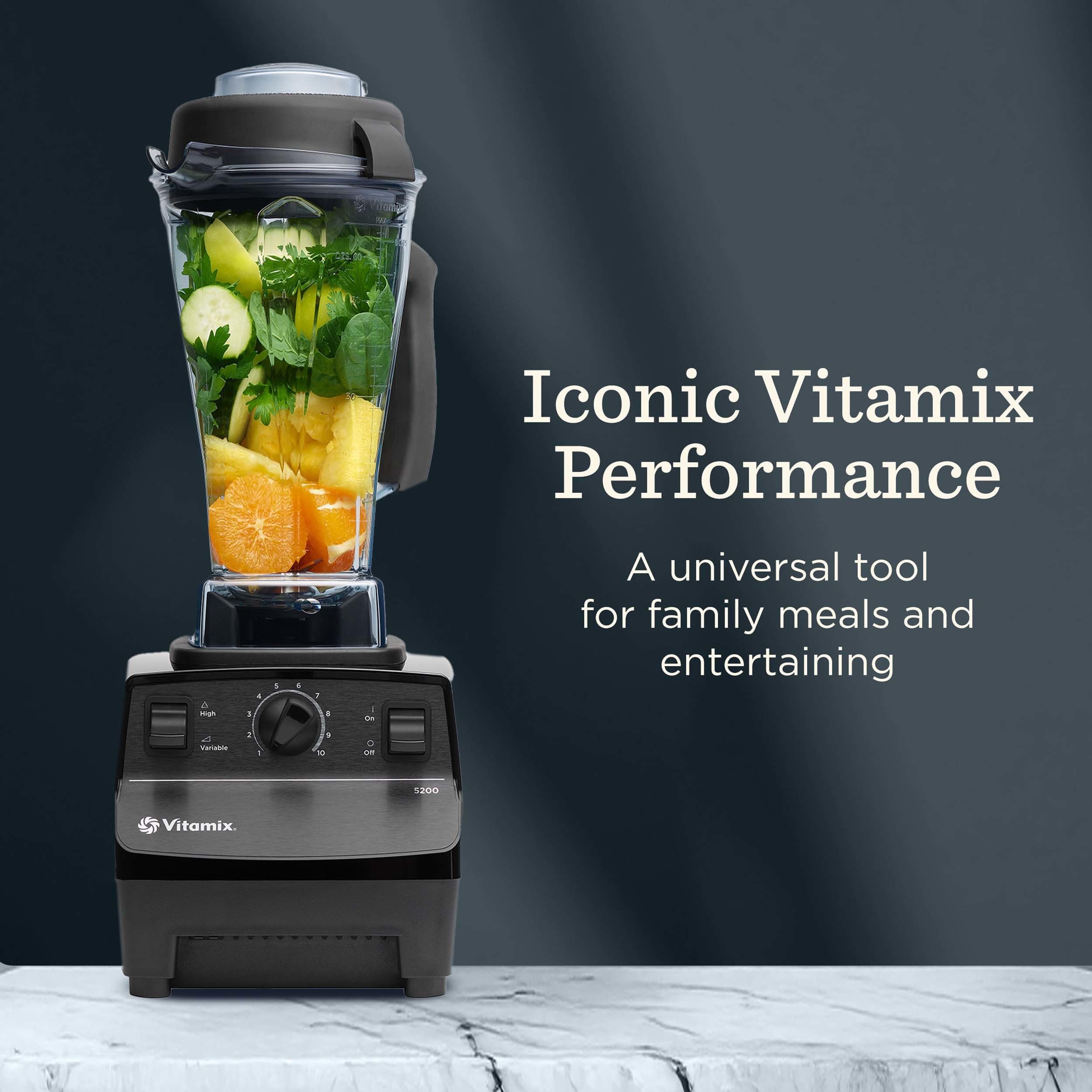 Vitamix 5200 tamper aids even texture for thick blends.