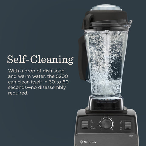 Vitamix 5200 variable speed control lets you dial in textures.