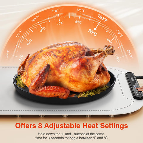 Voriah warming tray dual temperature control switching between °C and °F