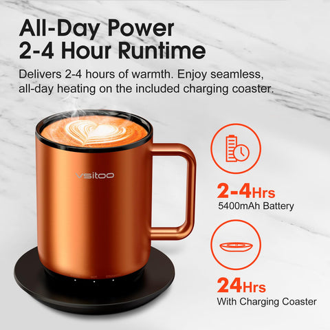 VSITOO S3 Plus app control lets you adjust heat remotely from your phone