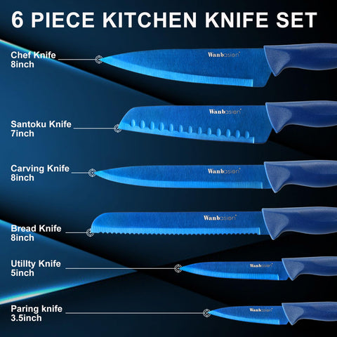 Wanbasion blue professional knife set case showing organized blade collection