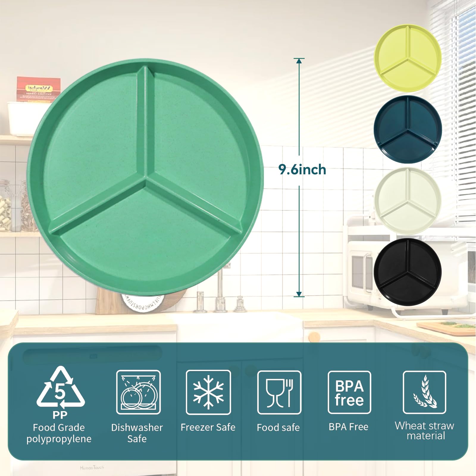 WAYGYMBBD divided plate color options display five color choices