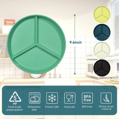 WAYGYMBBD divided plate color options display five color choices