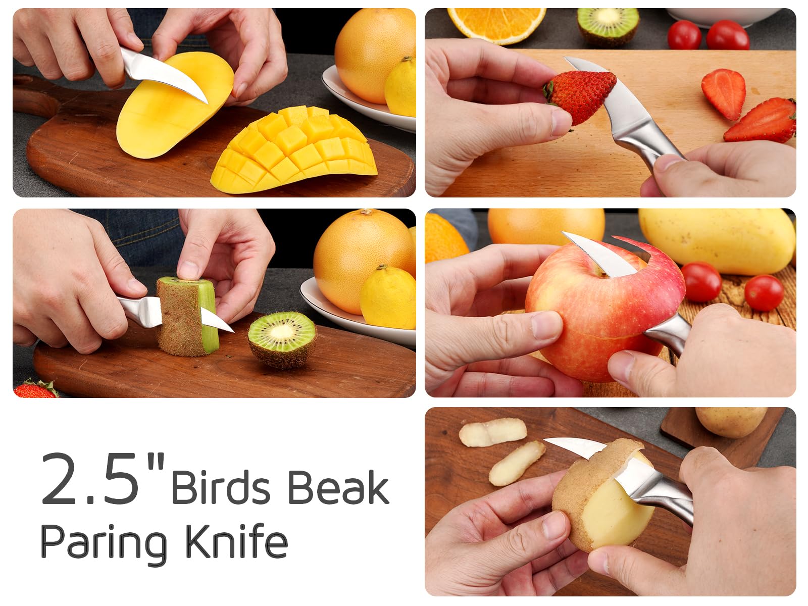 WELLSTAR Birds Beak Paring Knife full tang for strong leverage