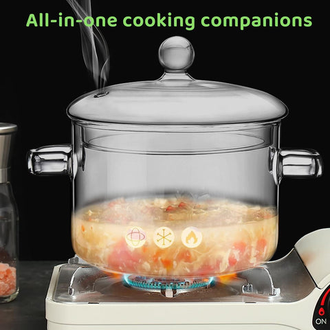 WETPYAKS glass pot demonstrating dishwasher-safe convenience.