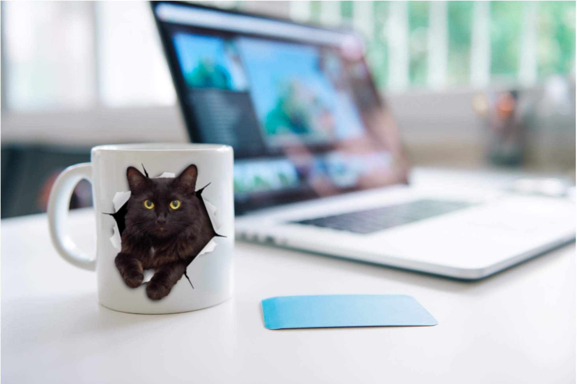 Winston & Bear Black Cat Mug ready-for-gift packaging