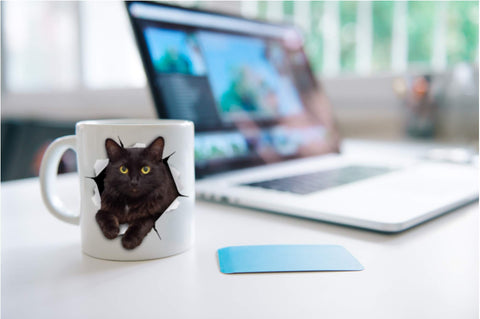 Winston & Bear Black Cat Mug ready-for-gift packaging