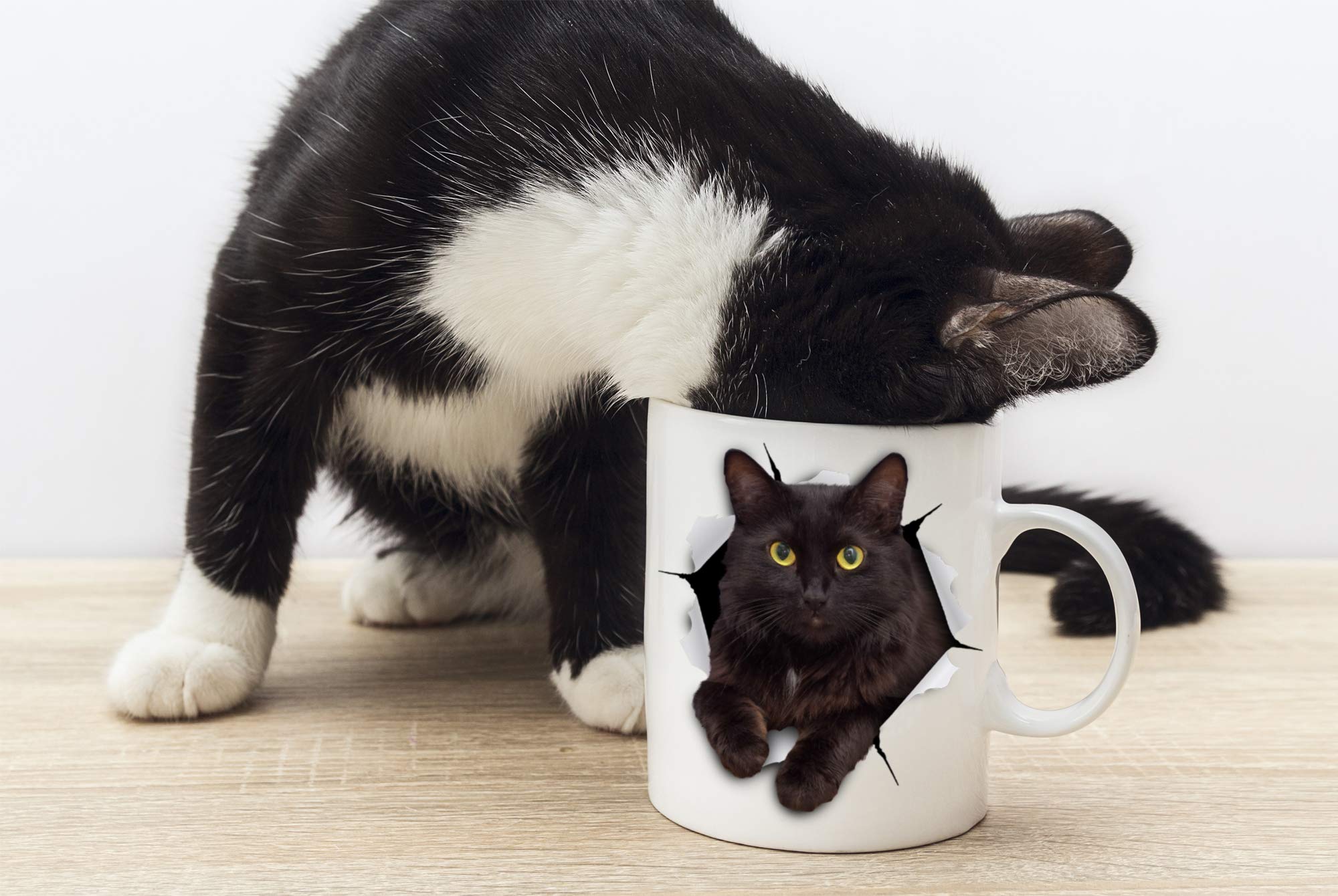 Winston & Bear Black Cat Mug handle close-up for grip