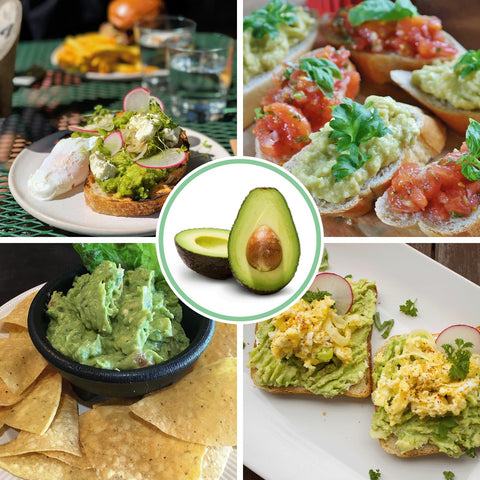 WodGod Guacamole Keeper stored dips of multiple flavors for easy access