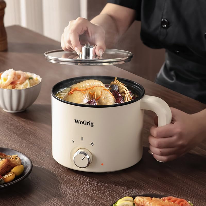 WoGrig dual power supply setup for flexible cooking options.