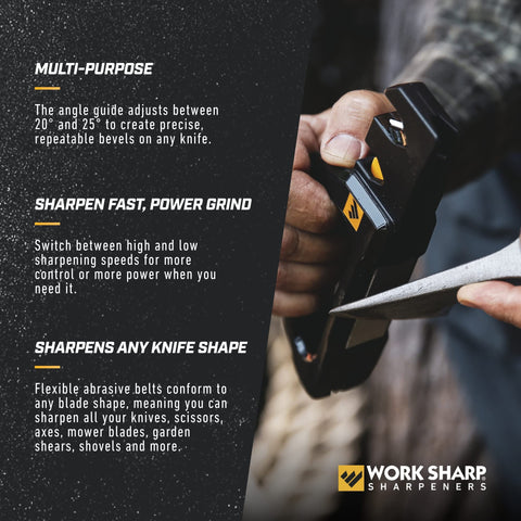 Work Sharp Pivot Pro tool sharpener handles edge tools and pruners efficiently.